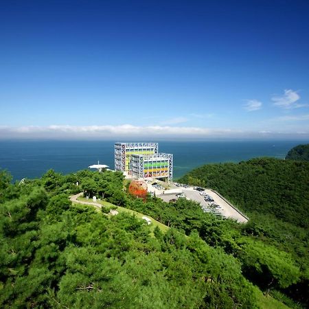 ハスラ アート ワールド ミュージアム ホテル 江陵市 エクステリア 写真